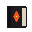 choir hymnbook